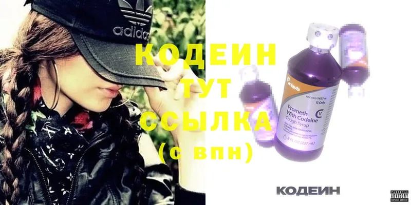 Кодеиновый сироп Lean Purple Drank  darknet состав  Каменка  хочу наркоту 