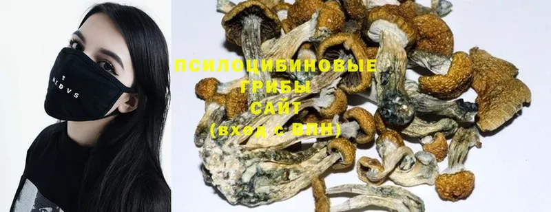 KRAKEN ссылки  Каменка  Галлюциногенные грибы Psilocybine cubensis  купить наркотик 